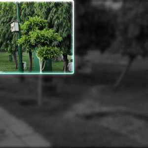 Smart Corner Focus - Corner Highlight and Zoom Template for DaVinci Resolve