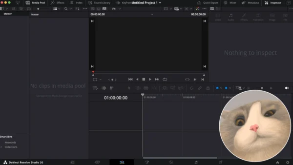 Picture-in-Picture Effect Template for DaVinci Resolve | PiP Frame