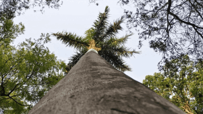 Free Shadow Wipe Transition Template for DaVinci Resolve | Shadow Wipe Free