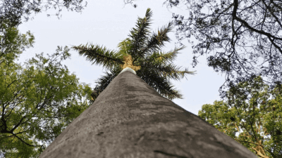 Free Customizable Cinematic Transition Template for DaVinci Resolve | Texture Wipe