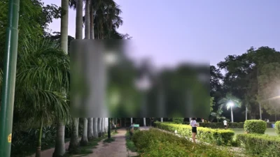 Face Blur, Mosaic and Motion Masking Toolkit for DaVinci Resolve | Mask FX