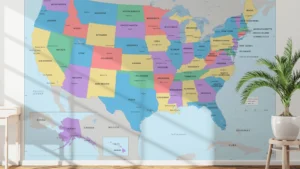 USA Political Map Printable | States, Capitals & Major Cities