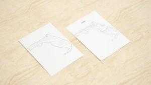 Florida County Map Printable, Blank & Labeled, Geography Worksheet