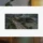 Frame Expand Transition for DaVinci Resolve | Framed Reveal Effect
