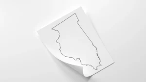 Illinois Blank Outline Map Printable, State Map Template, JPG PDF PNG