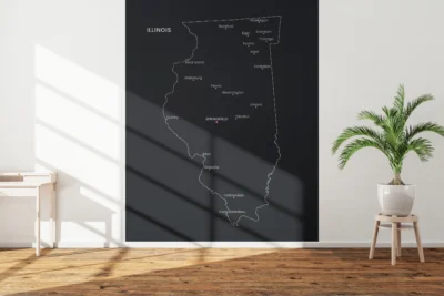 Illinois Cities Map Printable Wall Art, Labeled City Map, Light & Dark Styles