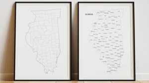 Illinois Counties Map Printable, Blank & Labeled, Geography Worksheet