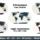 Minimalist World Map Printable (5 Color Variants) | Modern Wall Art Poster | Country Borders