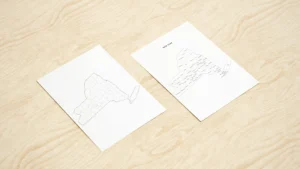 New York County Map Printable, Blank & Labeled, Geography Worksheet