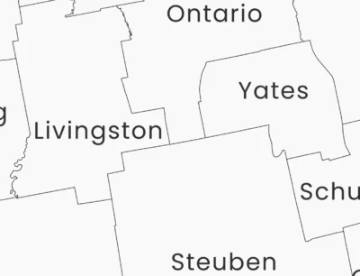 New York Counties Map Printable, Labeled County Map, Light & Dark Styles