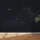 Virginia Counties Map Printable Wall Art, Labeled County Map, Light & Dark Styles