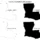 Louisiana SVG Bundle, State Cut Files, SVG DXF EPS PNG