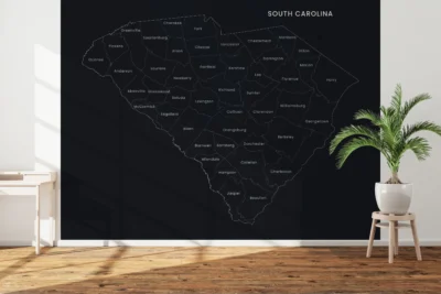 South Carolina Counties Map Printable, Labeled County Map, Light & Dark Styles