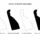 Delaware SVG Bundle, State Cut Files, SVG DXF EPS PNG