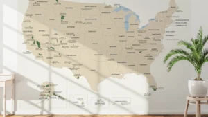 USA National Parks Map Printable, All 63 National Parks with Boundaries & Names
